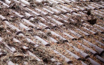 Bulbridge roof cleaning companies