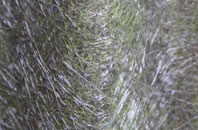 Bulbridge fibreglass roof work